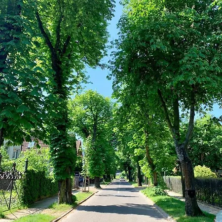 Kwatera Orlowska غدينيا